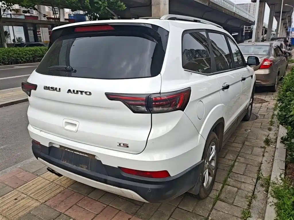 Bisu Auto Bisu T5 2017 2017 1.5T Manual Premium