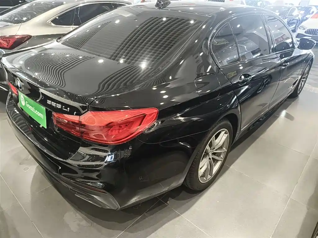 BMW 5 Series 2019 Facelift 525Li M Sport Package фото 7