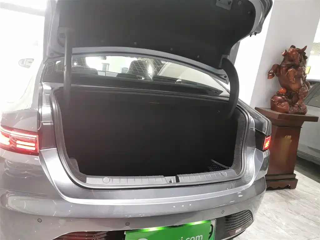 BYD Destroyer 05 2023 Champion Edition DM-i 55KM Luxury фото 19