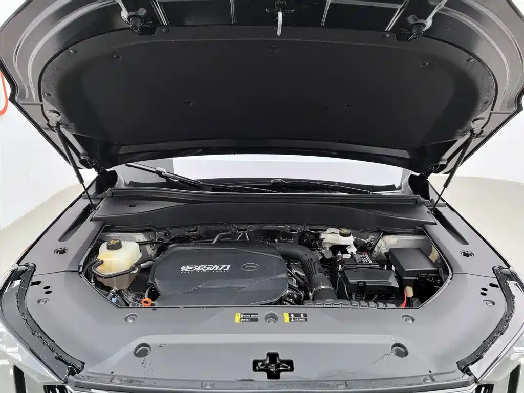 GAC Trumpchi Trumpchi GS8 2025 Pilot Series 2.0TGDI 2WD Luxury Edition 5-seater фото 6