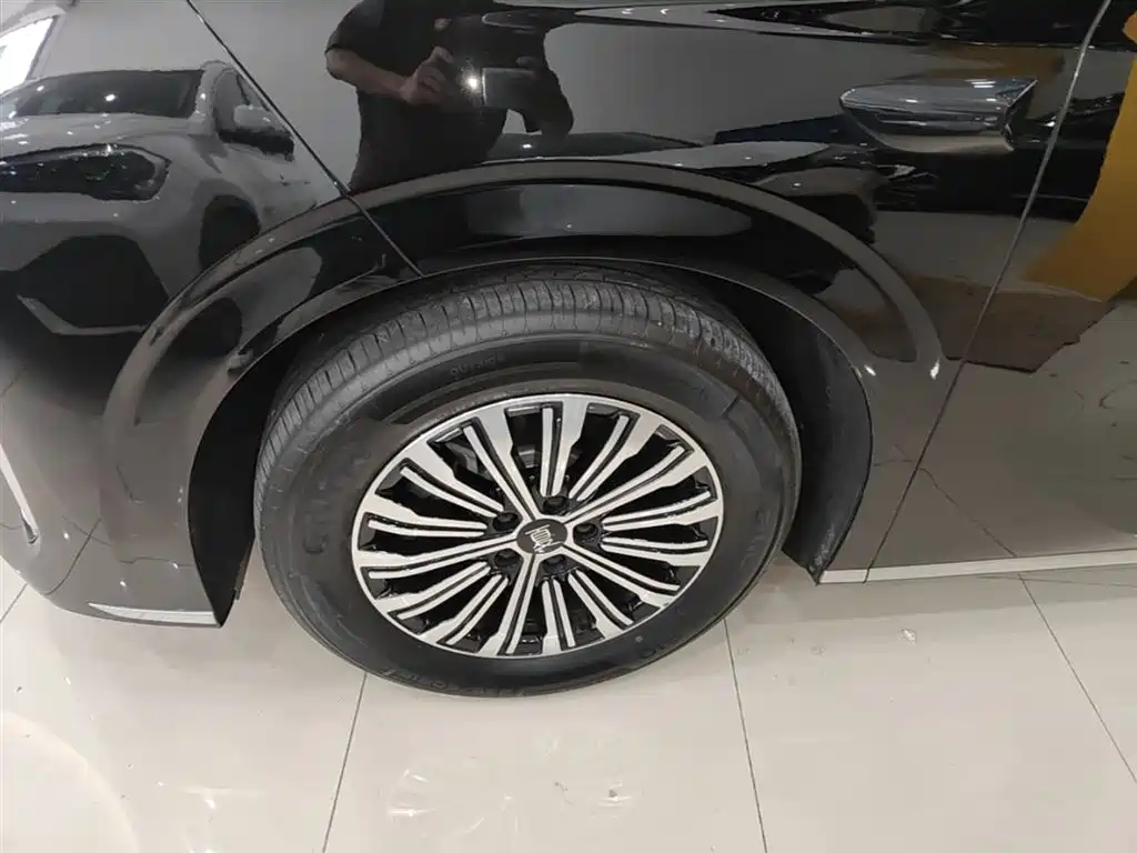 BYD Xia 2025 DM-i 1.5T 100km Surpass Edition фото 23