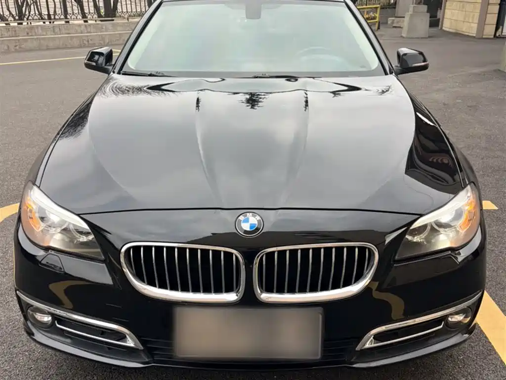 BMW 5 Series 2014 520Li Elegance фото 6
