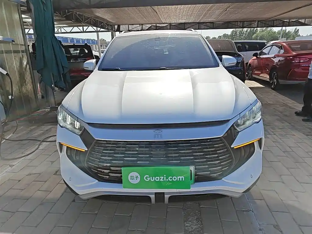 BYD Song Pro New Energy 2024 Glory Edition DM-i 71KM Pilot фото 3