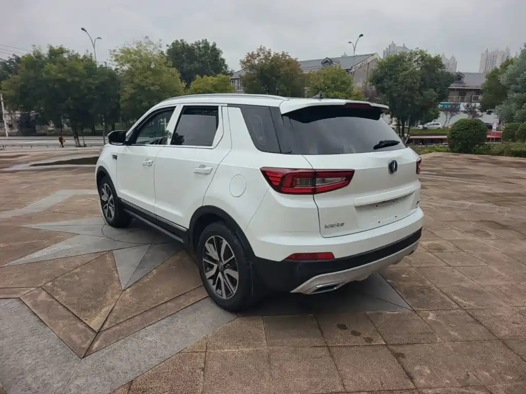 Changan CS55 2019 2019 1.5T Automatic Xuandong Type China VI