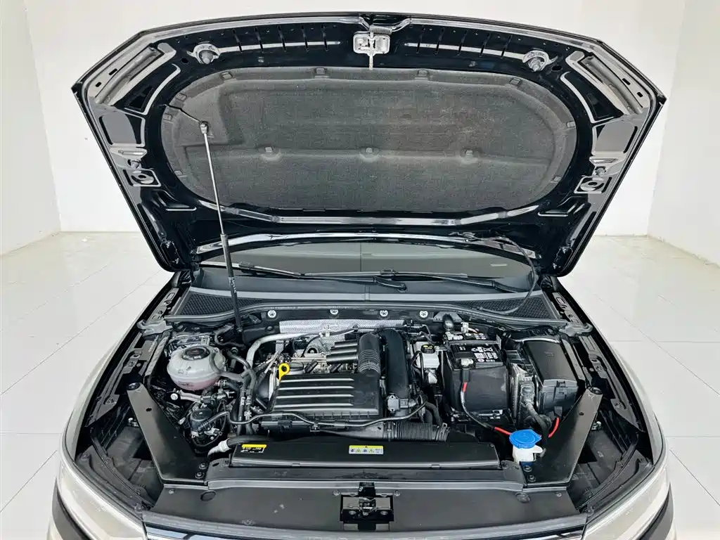 Volkswagen Magotan 2024 2 Million Units Public Sharing Edition 280TSI DSG Comfort фото 24