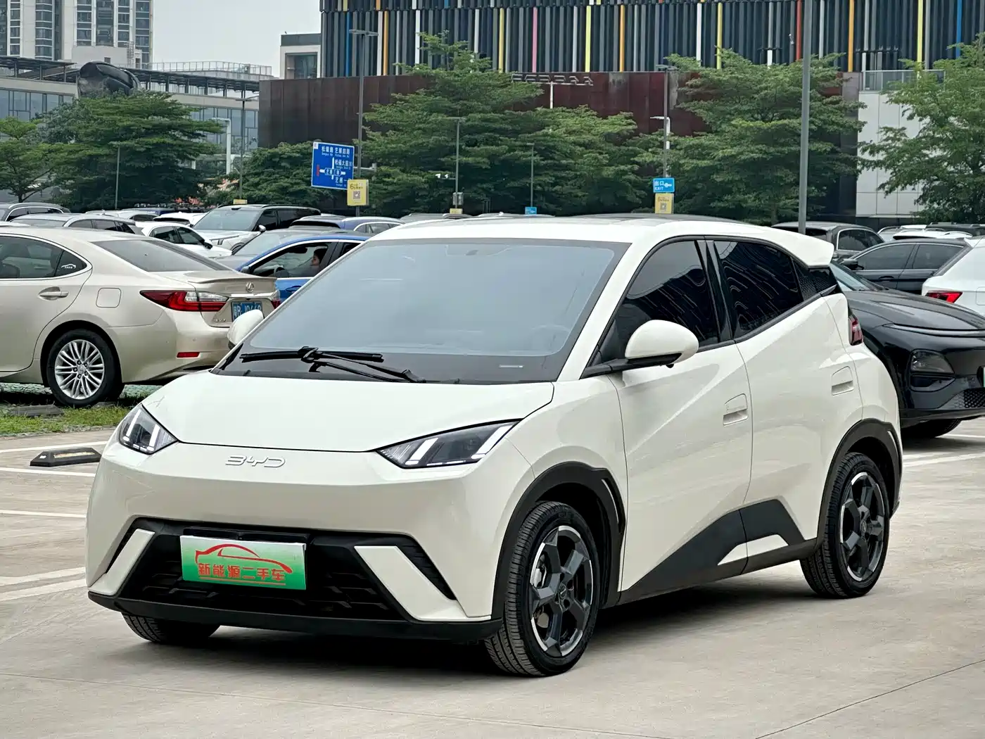 BYD Seagull 2024 Glory Edition 305km Freedom Edition