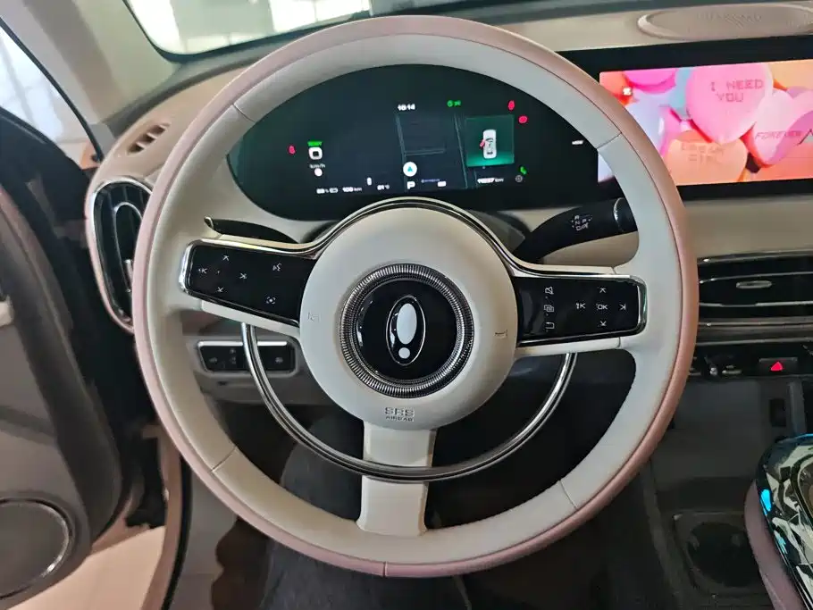 Ora Ballet Cat 2025 2023 401km Premium Model