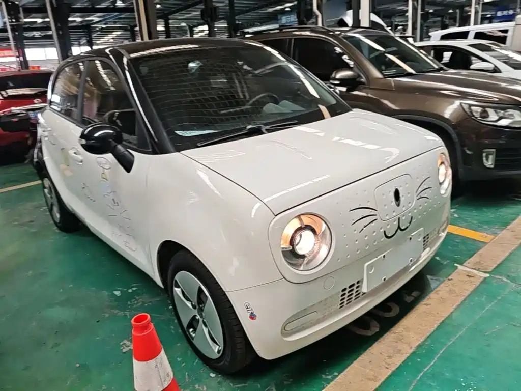 Ora Black Cat 2021 2021 301km Basic Model