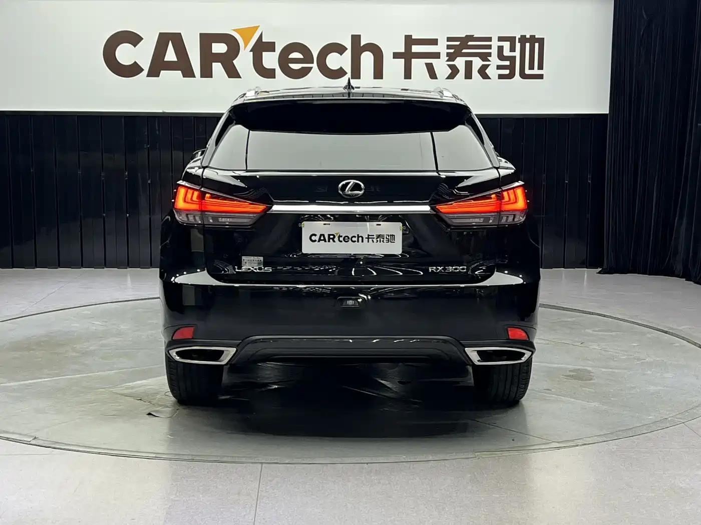Lexus RX 2021 300 AWD Special Edition фото 2
