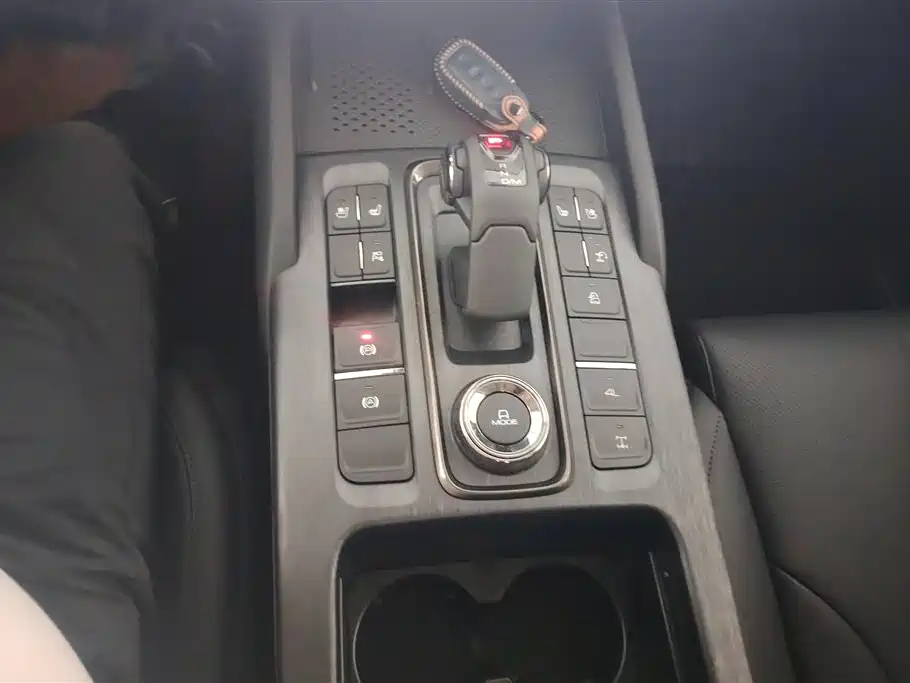 Haval H9 2024 2.0T Gasoline AWD Extreme Edition фото 16