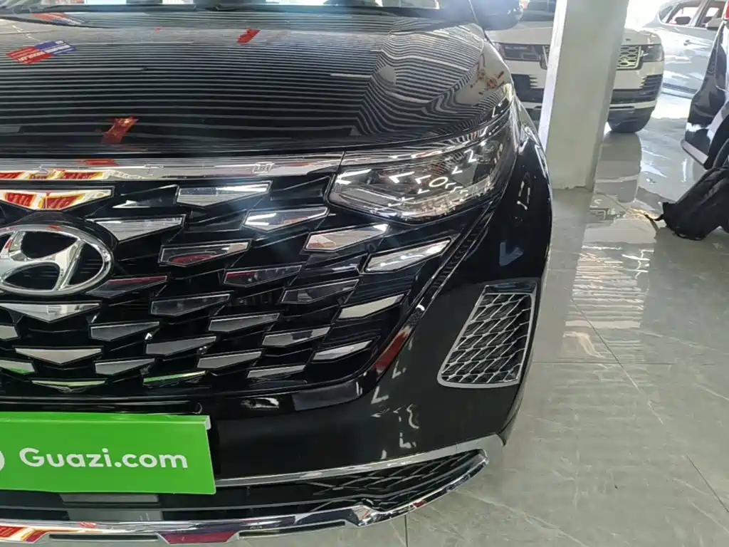 Hyundai Custo 2025 2024 270TGDi LUX Premium Edition