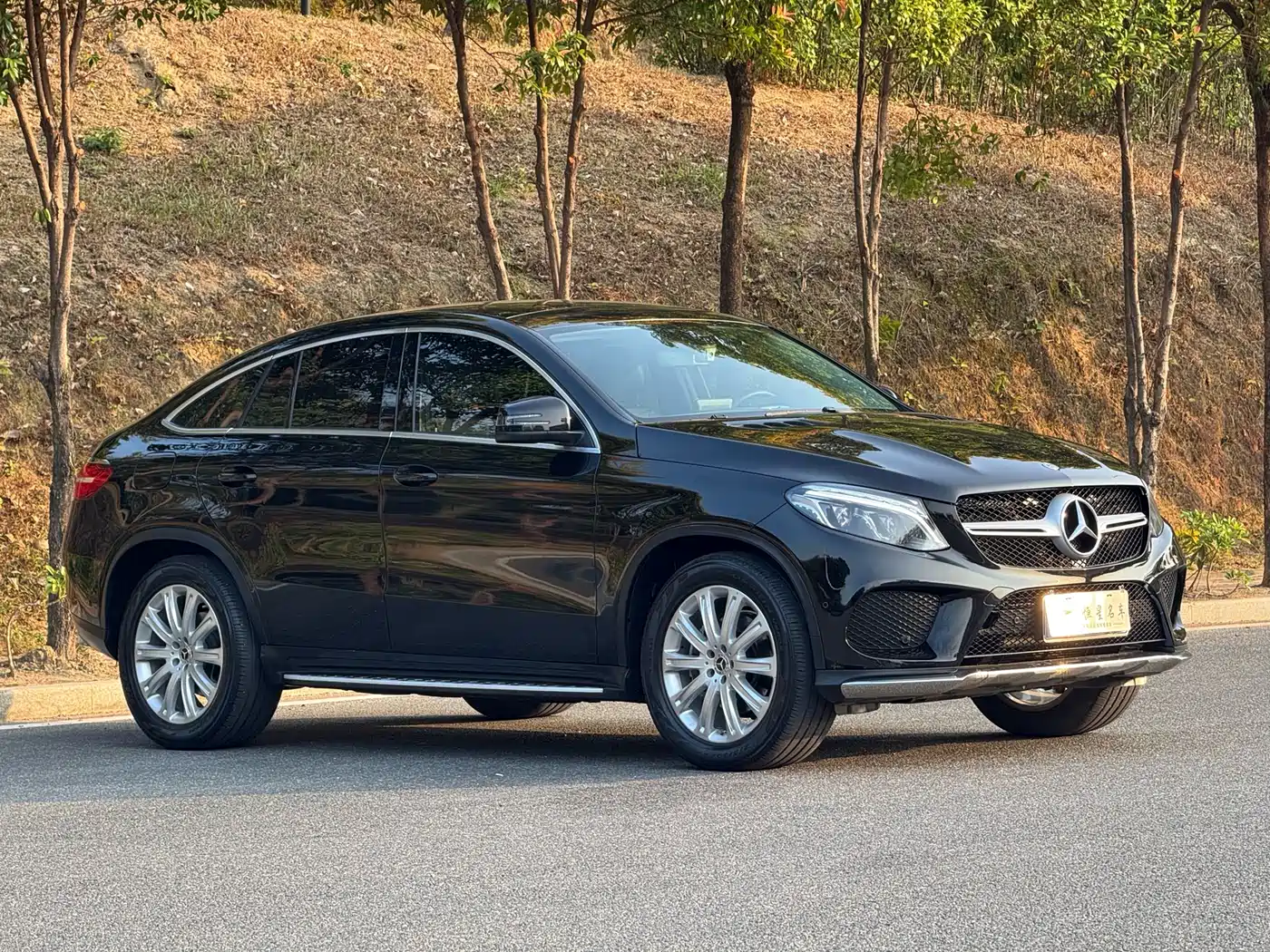 Mercedes-Benz GLE Coupe 2018 GLE 320 4MATIC Coupe SUV фото 3