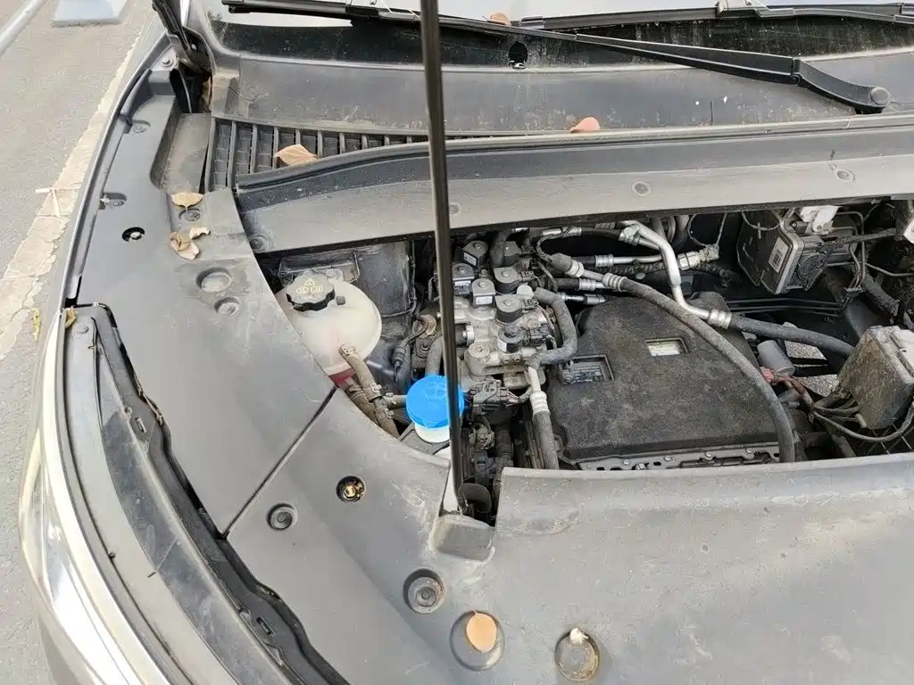 BYD Yuan PLUS 2022 2022 510KM Premium