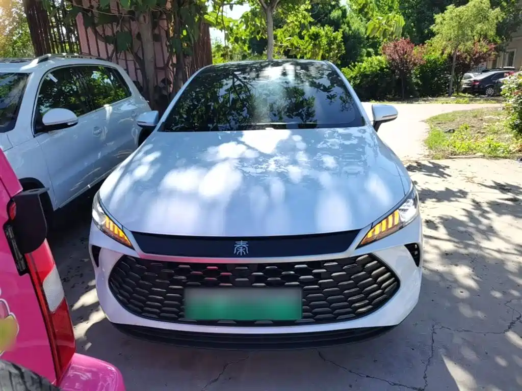 BYD Qin PLUS 2025 DM-i Smart Drive 55KM Leader фото 3