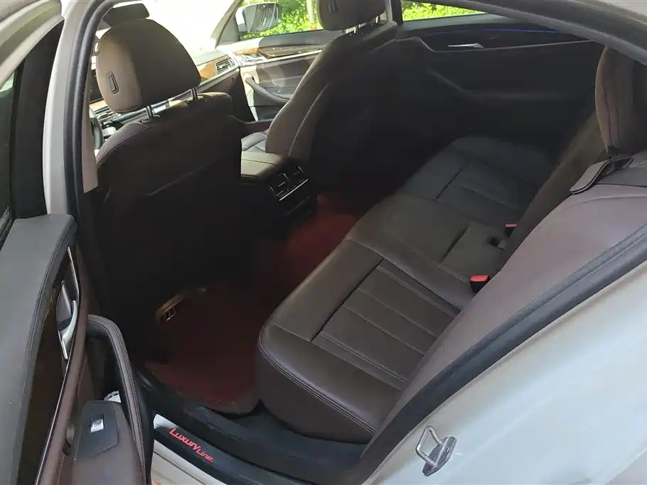 BMW 5 Series 2019 525Li Luxury Package фото 11