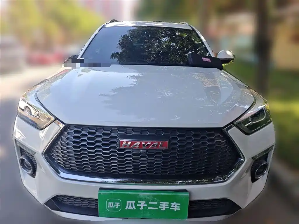 Haval H6 Coupe 2018 Red Label 1.5T Auto 2WD Luxury Edition фото 3