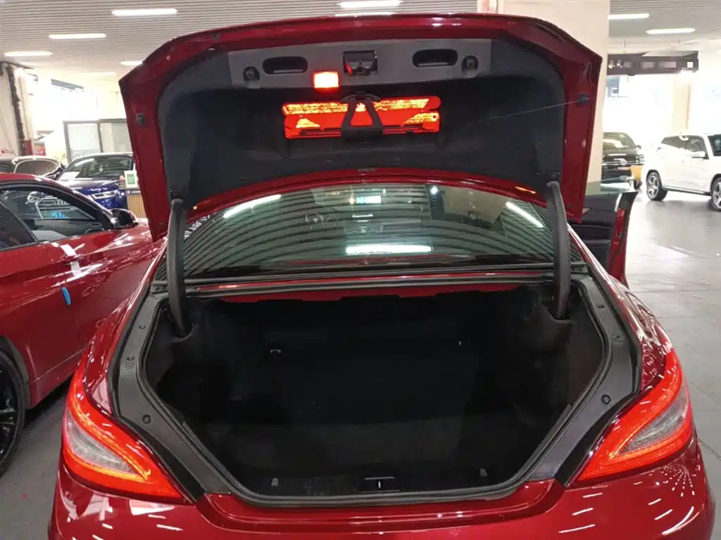 Mercedes-Benz CLS 2012 CLS 300 CGI фото 19