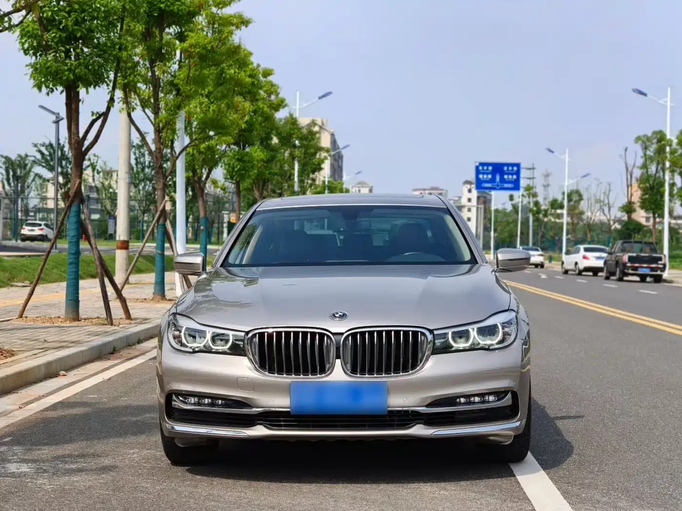 BMW 7 Series 2018 730Li Leading Type Excellence Package фото 2