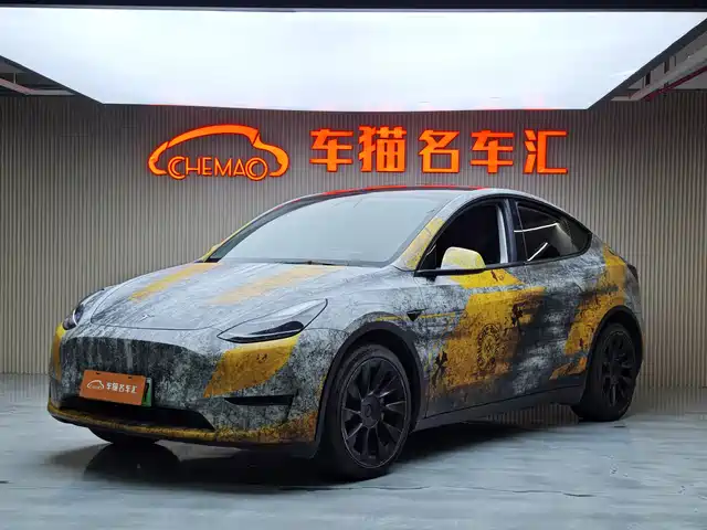 Tesla Model Y 2021 Standard Range Rear-Wheel Drive