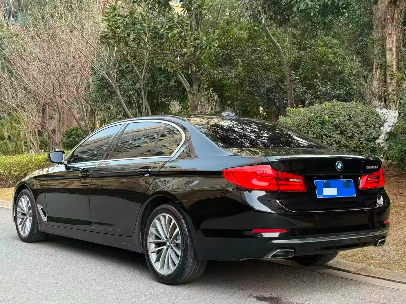 BMW 5 Series 2020 530Li Leading Luxury Package фото 5