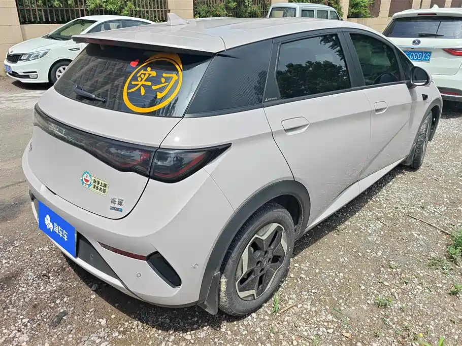 BYD Dolphin 2025 Smart Drive Edition 420km Freedom Version фото 3