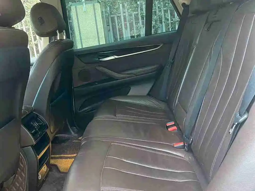 BMW X5 (Import) 2017 xDrive35i Elegance фото 10