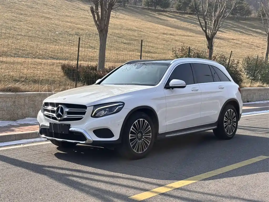 Mercedes-Benz GLC 2018 GLC 200 4MATIC фото 15