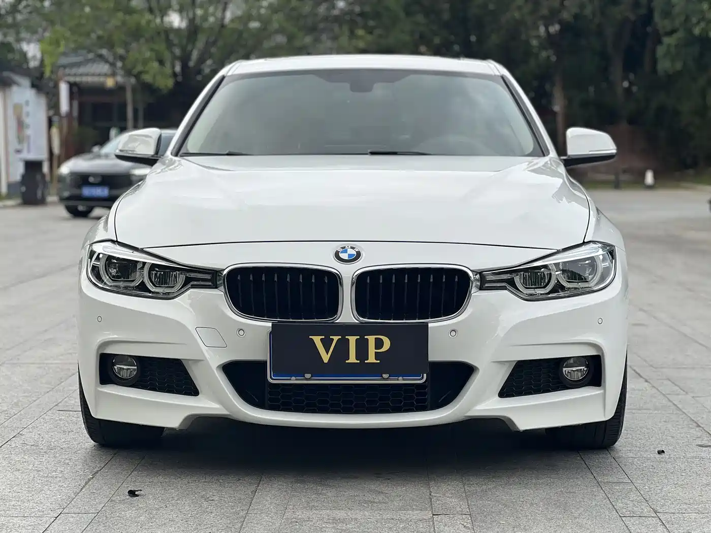 BMW 3 Series 2018 320Li Leading M Sport Package фото 3
