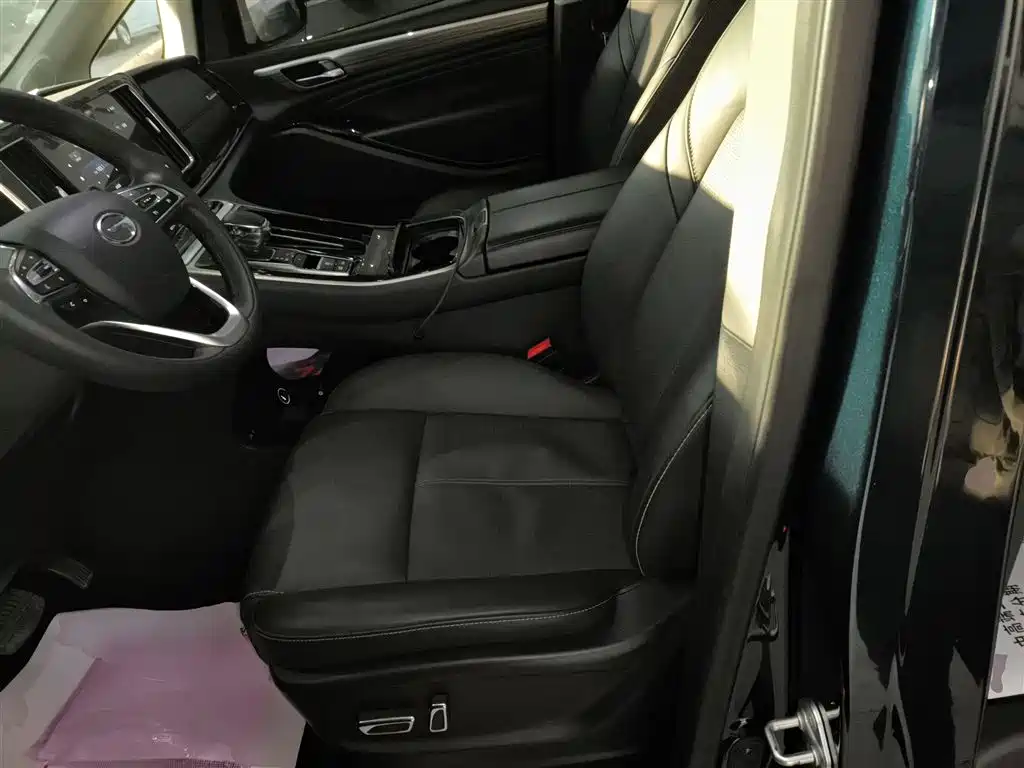 GAC Trumpchi Trumpchi M8 2023 Leading Series 390T Premium Edition фото 7