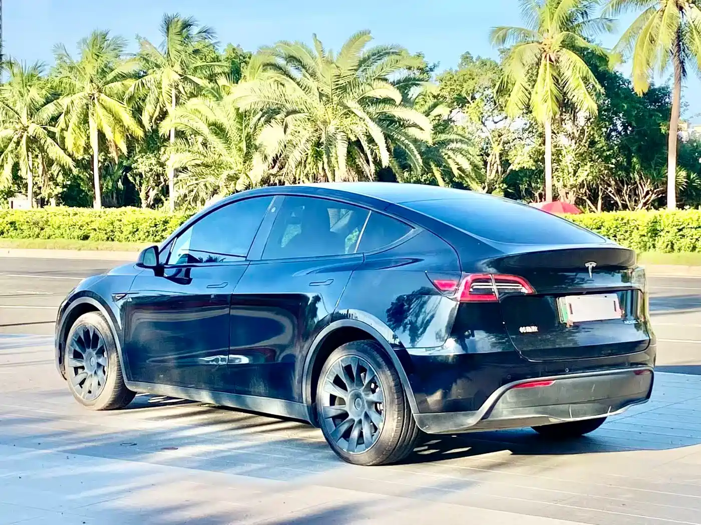 Фото 9 - Tesla Model Y