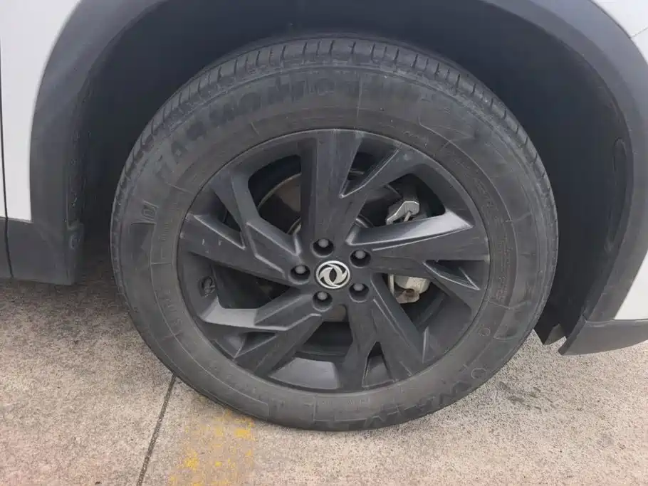 Dongfeng Aeolus SKY EV01 2024 2023 Model 445km PRO