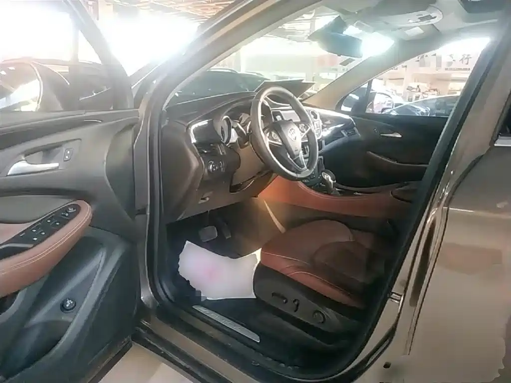 Buick Envision Plus 2018 20T 2WD Luxury фото 16