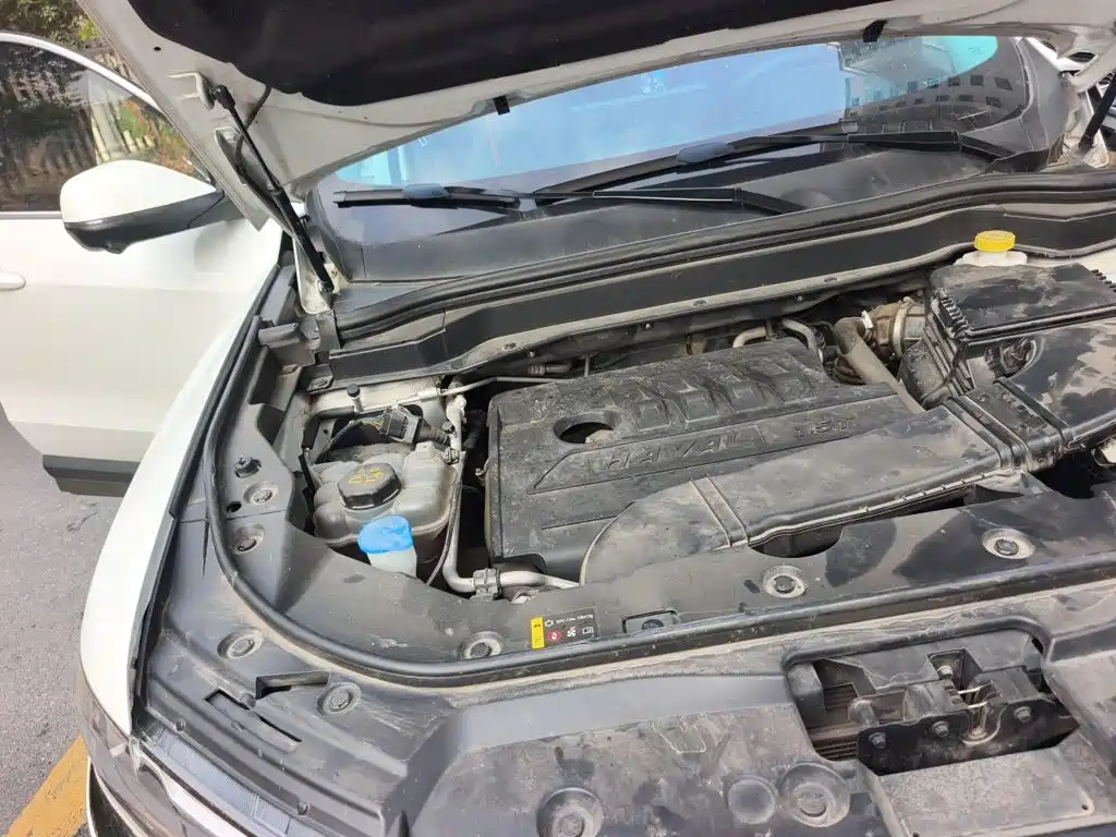 Фото 20 - Haval H6