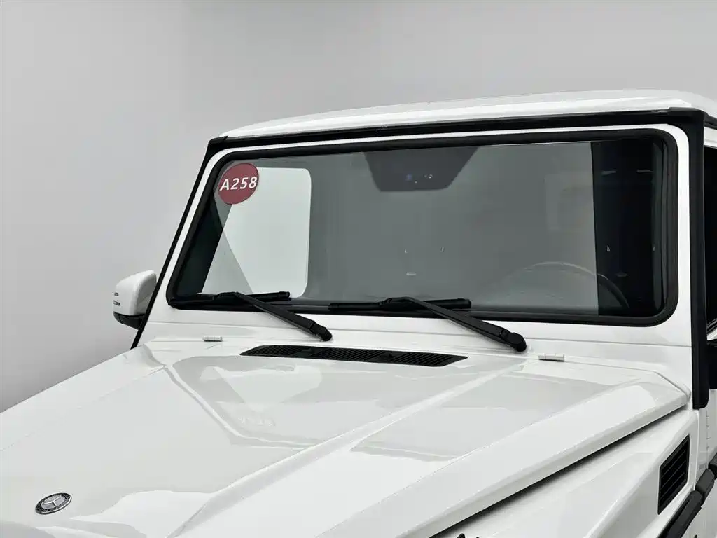 Mercedes-Benz G-Class AMG 2009 AMG G 55 фото 7
