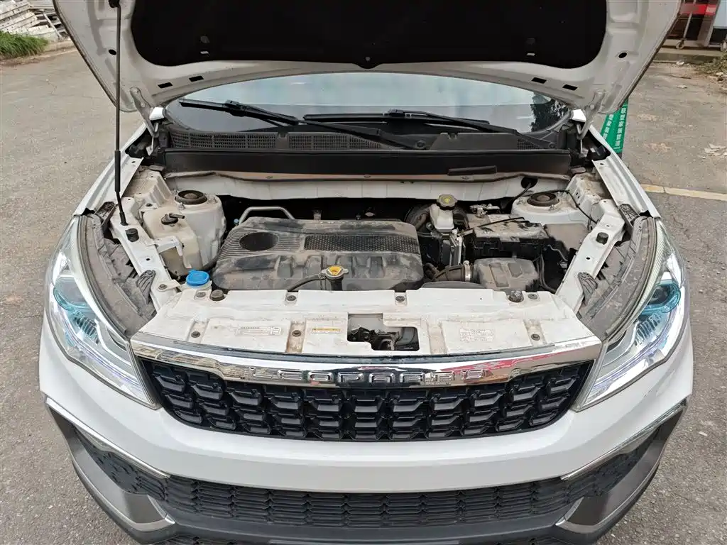 Leopaard CS9 2019 2017 1.5L Manual Trend