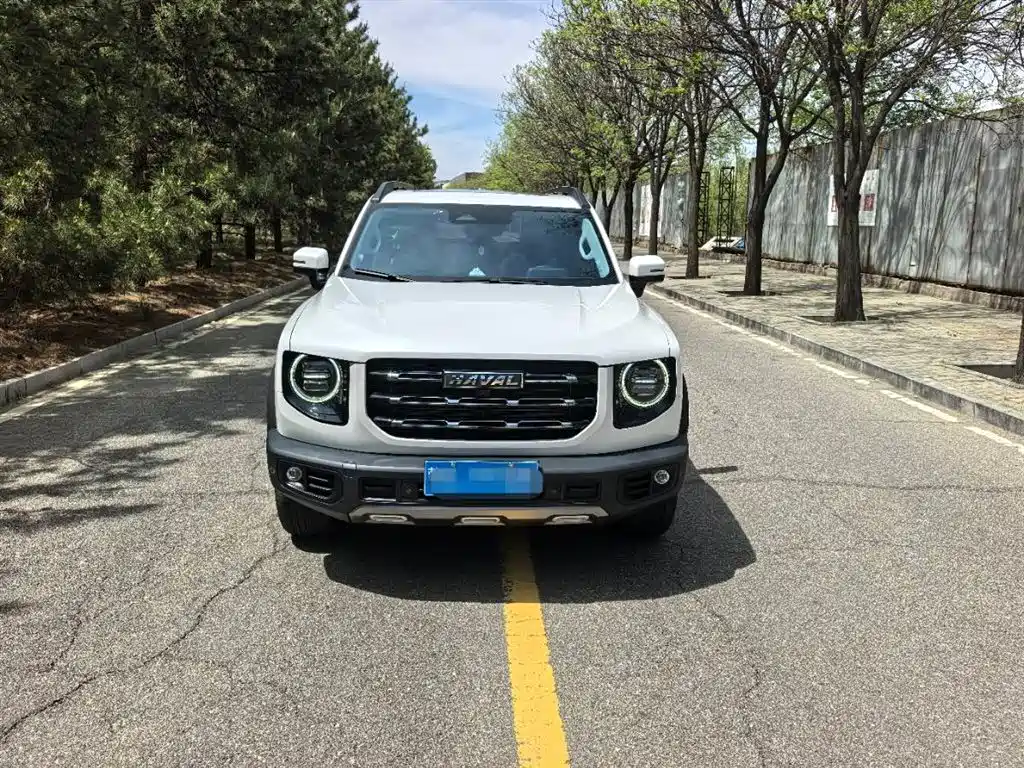 Haval Big Dog 2022 1.5T DCT FWD Border Collie Edition фото 2