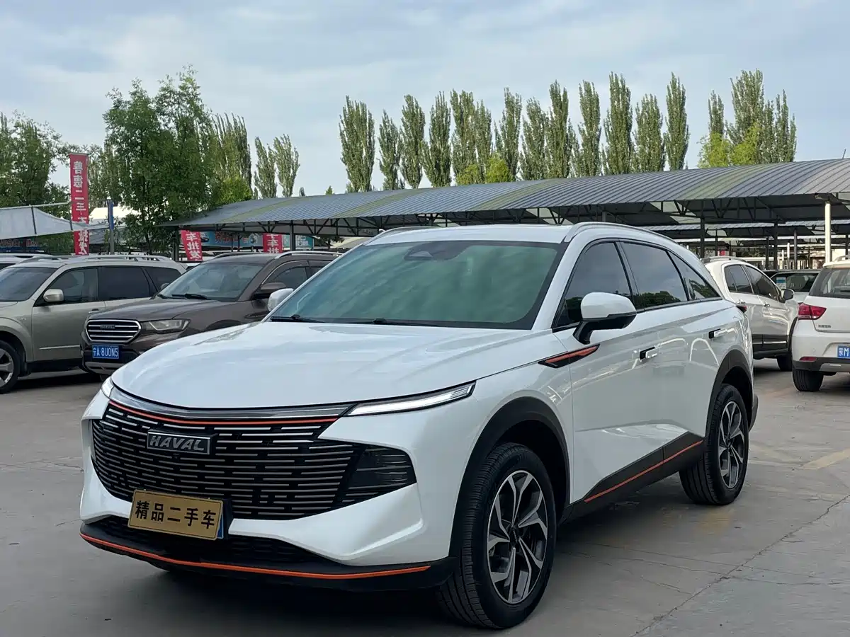 haval divine-beast