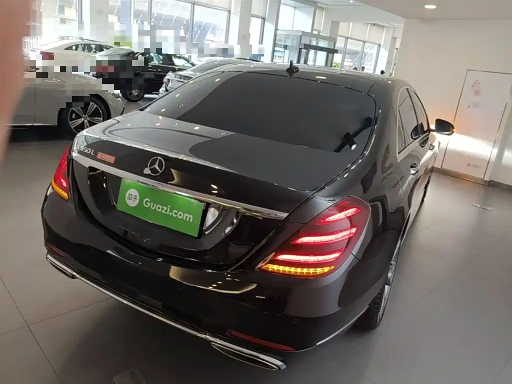 Mercedes-Benz S-Class 2020 S 350 L Premium Edition Collector's Version фото 7