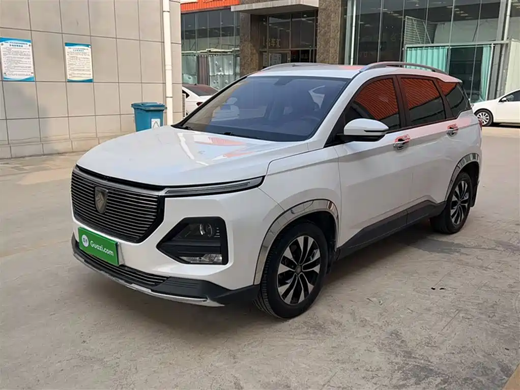 BAOJUN 530