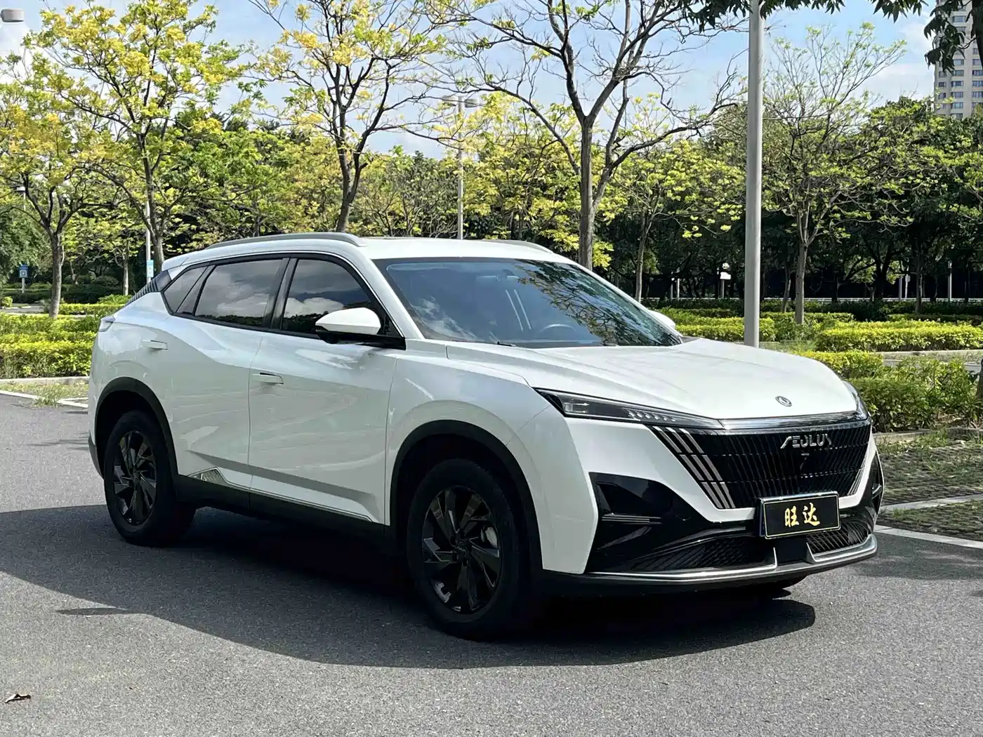 Dongfeng Aeolus Haohan 2024 2025 1.5T Luxury