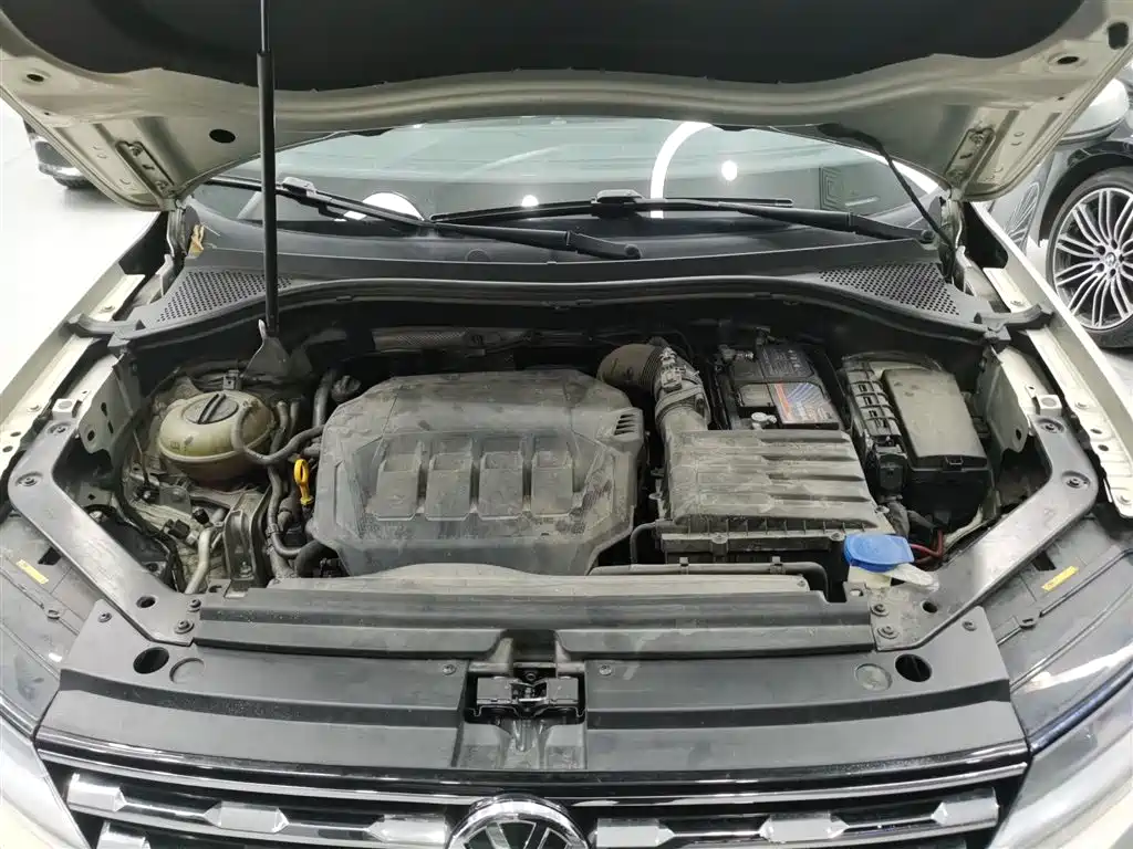Volkswagen Tiguan L 2021 330TSI Automatic 2WD Comfort фото 10