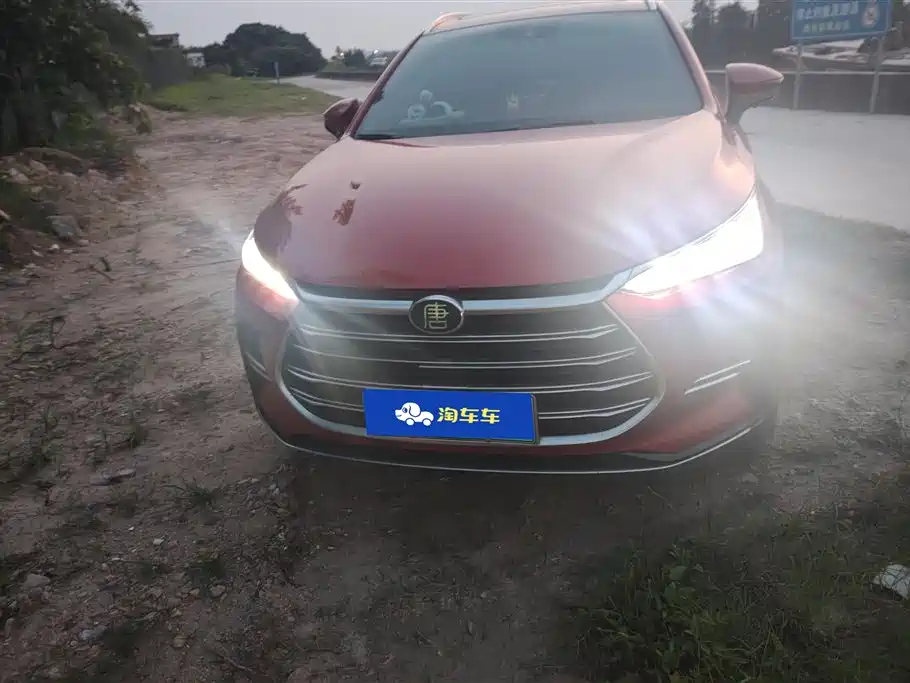 BYD Tang New Energy 2021 DM 2.0T AWD High Performance Genesis Flagship фото 2