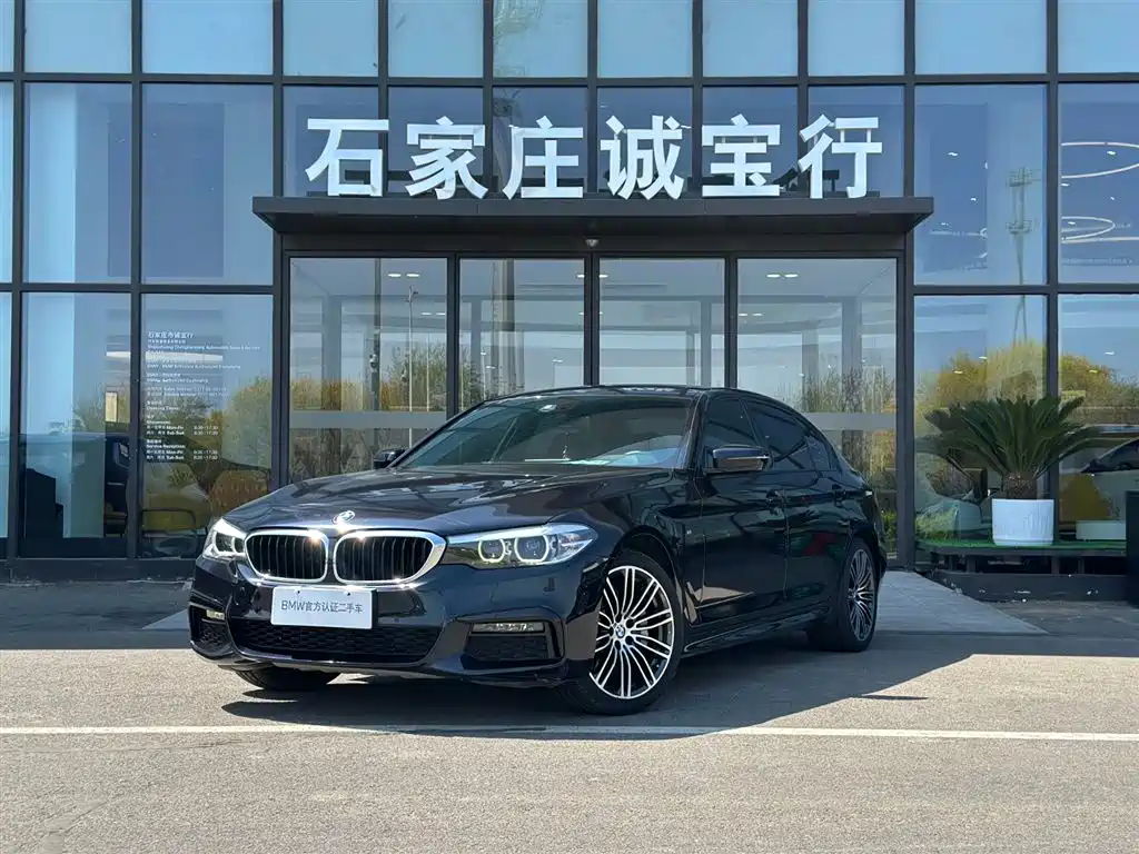 BMW 5 Series 2019 530Li Leading M Sport Package