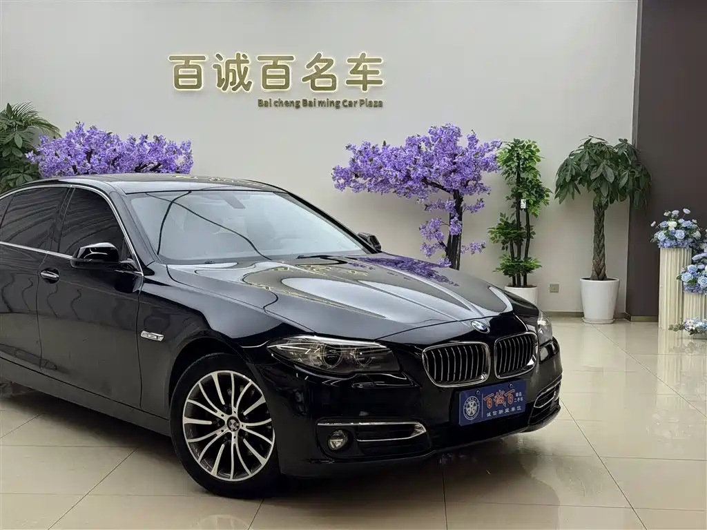 BMW 5 Series 2014 525Li Luxury Design Package фото 5
