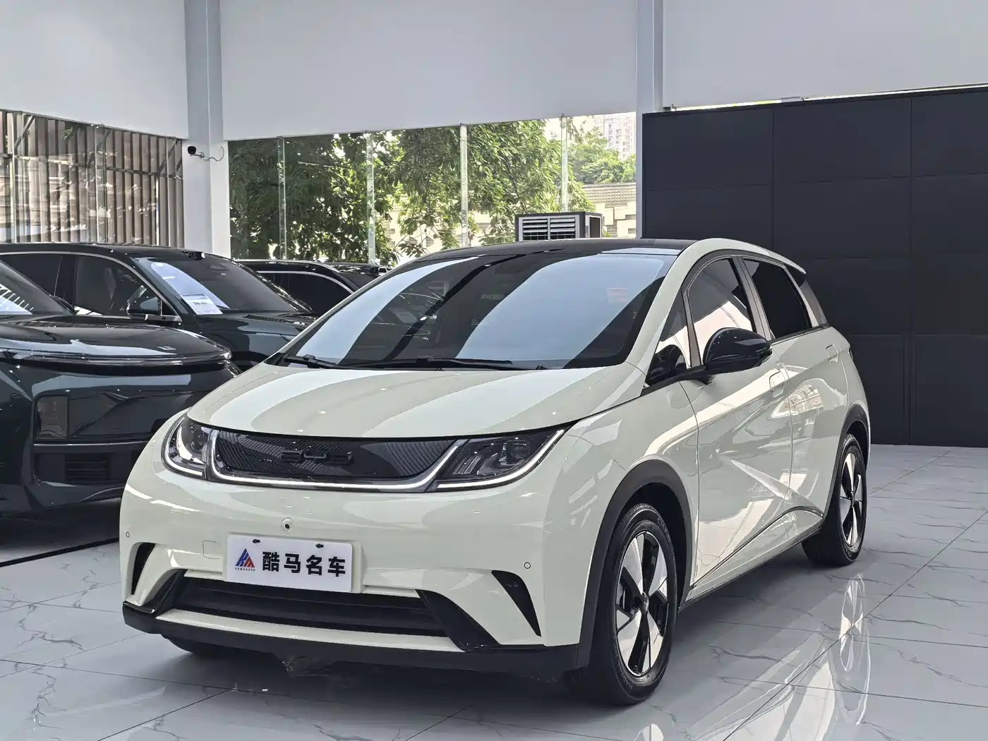 BYD Dolphin 2023 420km Fashion Edition