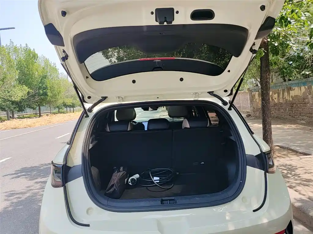 BYD Dolphin 2025 Smart Drive Edition 410km Fashion Version фото 19