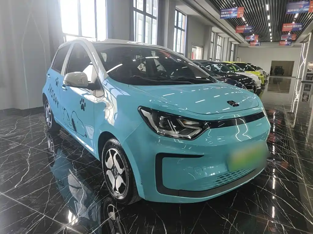 Sehol Flower Fairy 2022 2021 Jimei Edition 302km Luxury