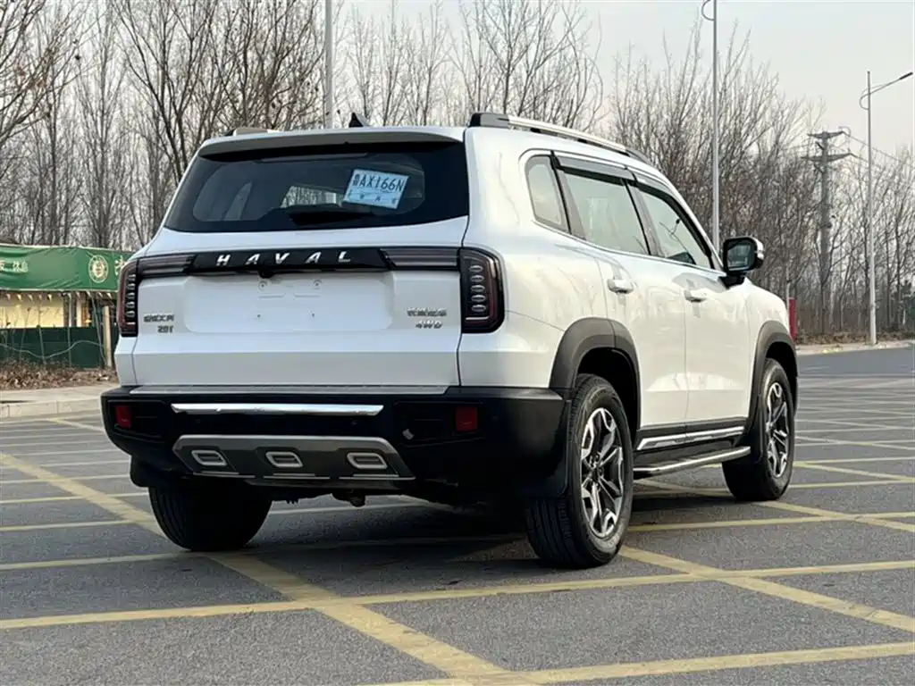 Haval Big Dog 2021 2.0T DCT 4WD Chinese Rural Dog Edition фото 25