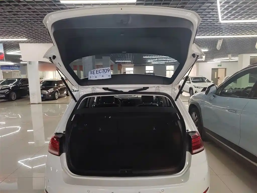 Volkswagen Golf 2019 280TSI DSG Comfort China VI фото 19