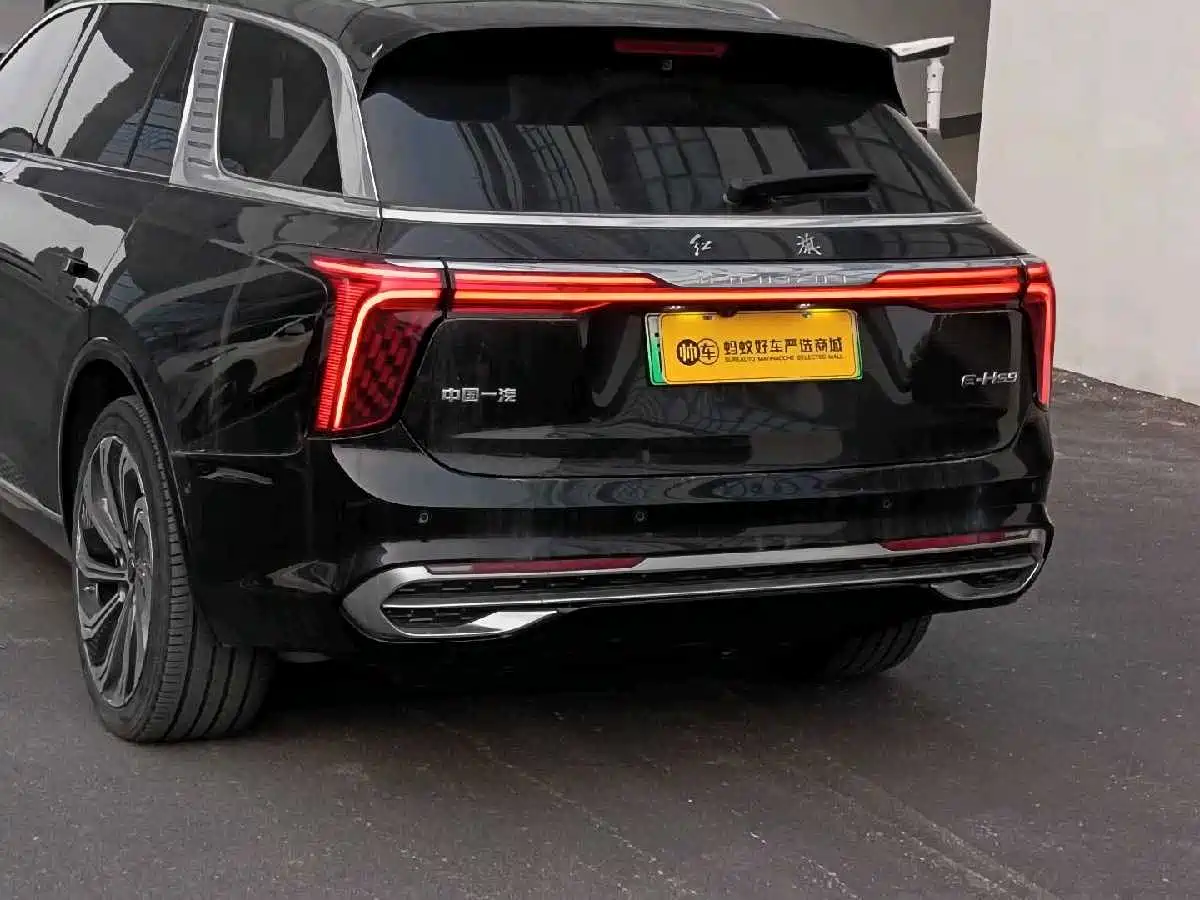 Hongqi E-HS9 2022 660km Qi Ling Edition (4-seater) фото 9